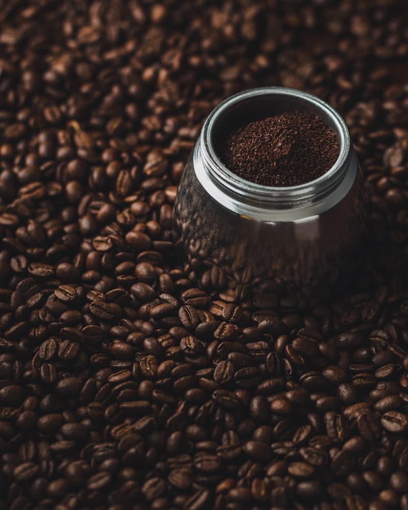 Roasted single-origin coffee beans ready for brewing